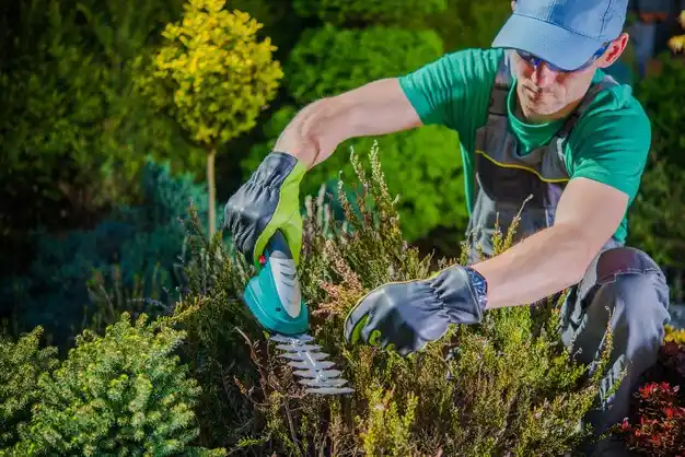 landscaping services Tunica Resorts
